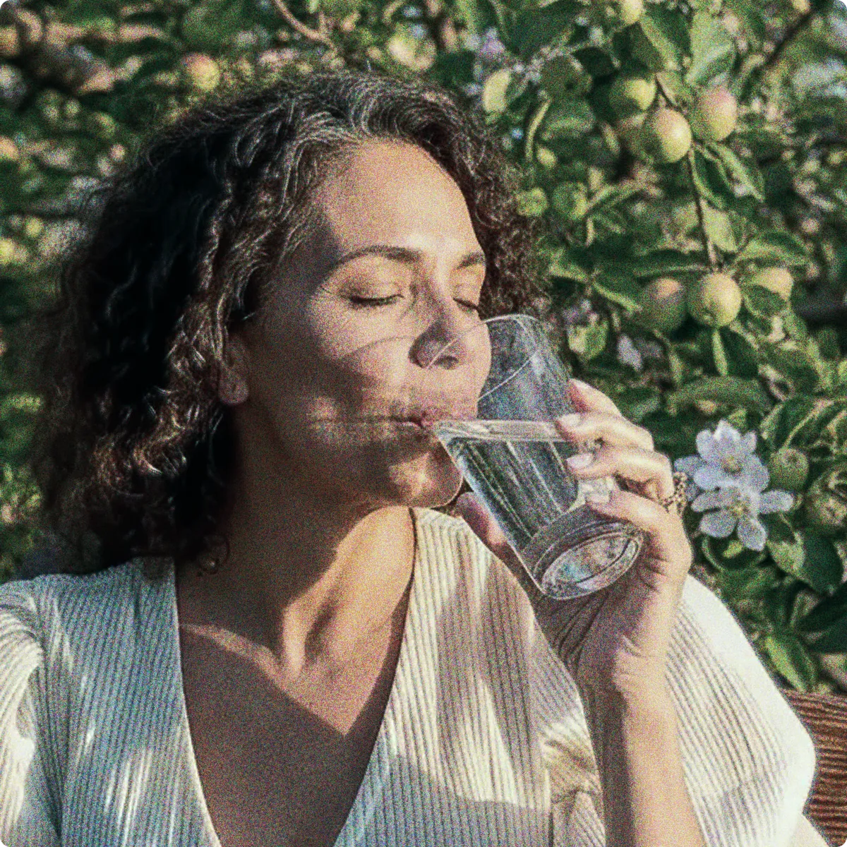 Your Sovereign Shield