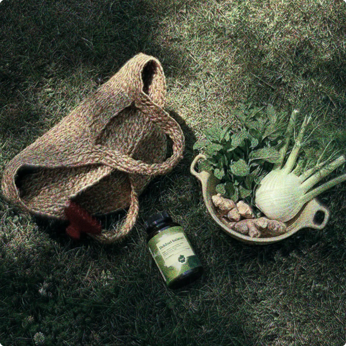 Bridge the Botanical Gap